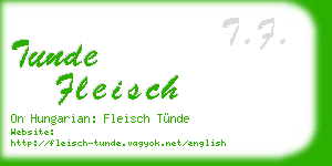 tunde fleisch business card